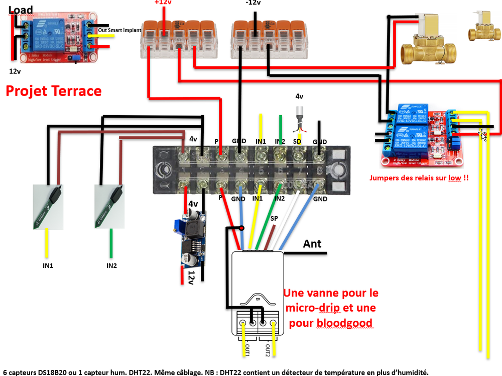 2023-07-12 15_05_36-Arrosage - PowerPoint.png